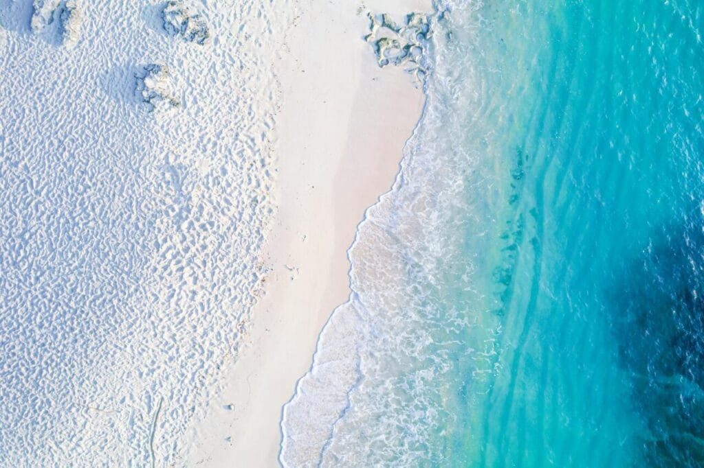 海