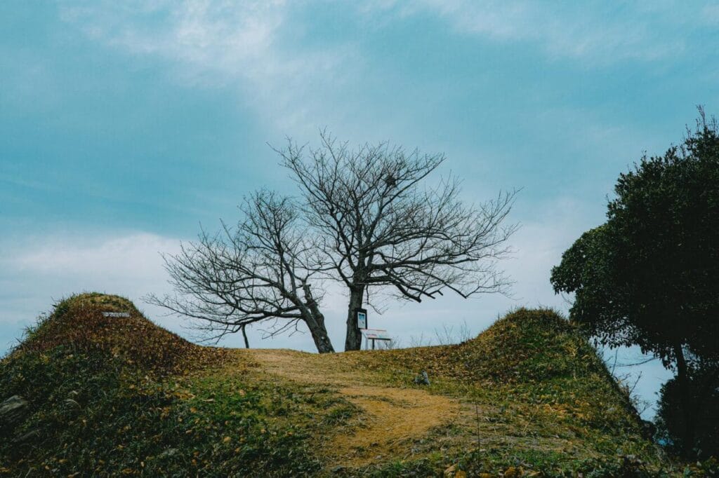 木々