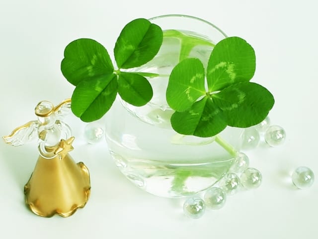 天使と幸運のイメージ画像