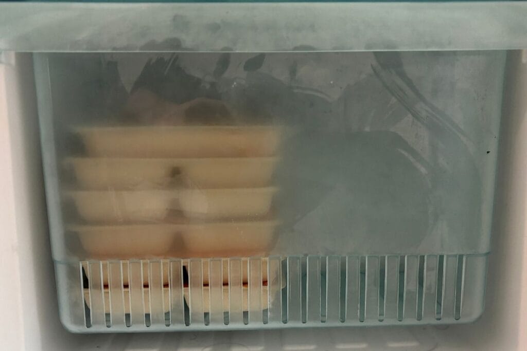 デリピックス6食を冷凍庫に入れたところ