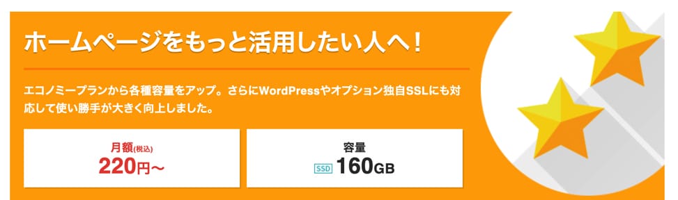 スターサーバーライトプラン