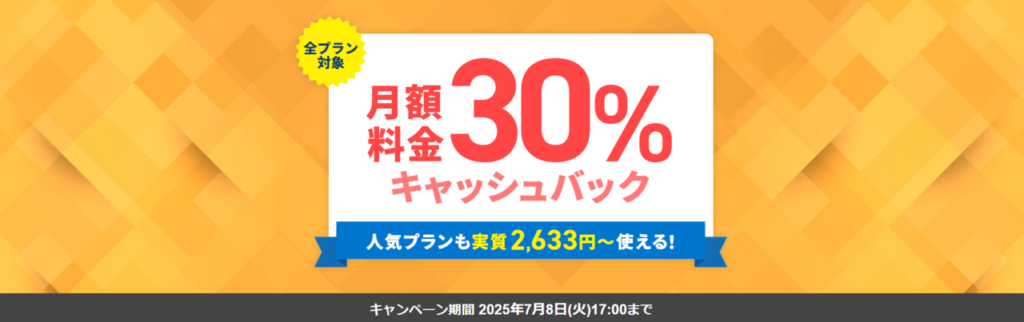 エックスサーバービジネス 12ヶ月以上の契約で適用「初期費用0円キャンペーン」(2025/4/8まで)