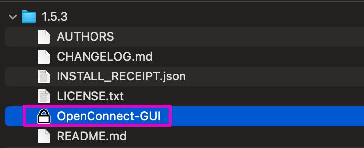 OpenConnect-GUI開く