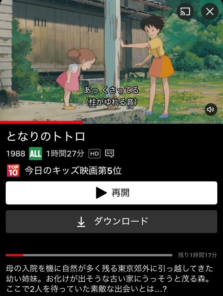 韓国版Netflixからとなりのトトロを視聴