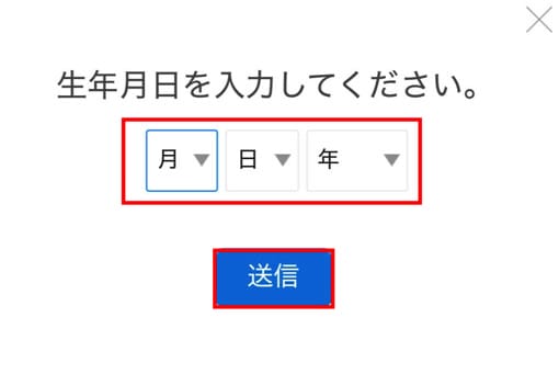 ディズニープラス　生年月日を入力