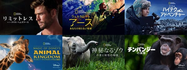 ディズニープラス　ナショナル・ジオグラフィックブランド