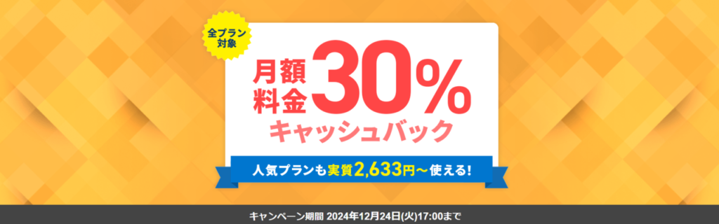 エックスサーバービジネス　12ヶ月以上の契約で適用「月額料金30％キャッシュバックキャンペーン」（2024/12/24まで）