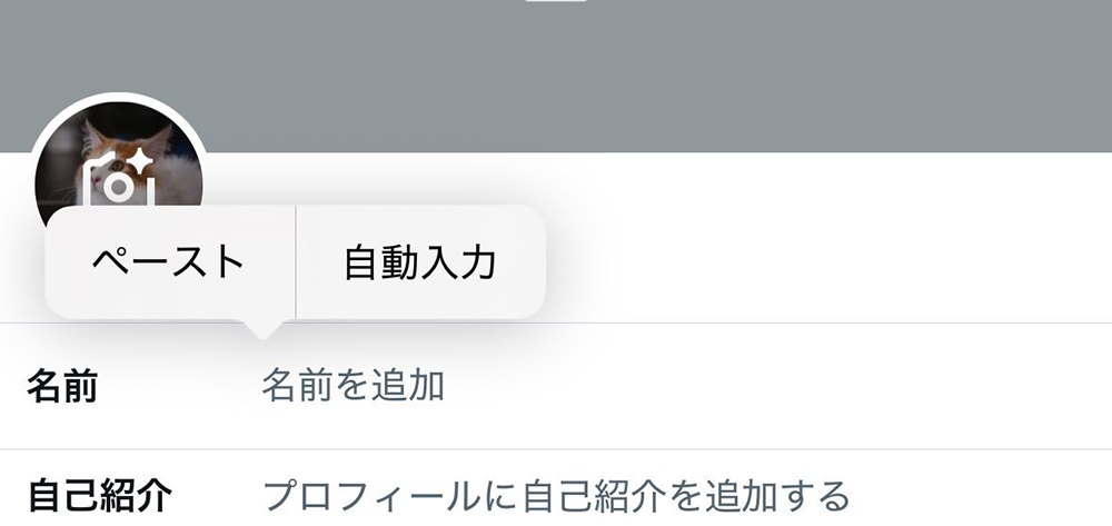 Xにアカウント名をペースト